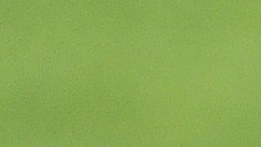 Paul Scholes atacó al actual técnico del Manchester United Ralf Rangnick