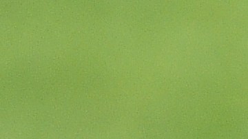 Paul Scholes atacó al actual técnico del Manchester United Ralf Rangnick