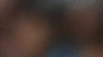 Pep Guardiola olvidó que Palmeiras es l campeón de la Libetadores y el DT le respondió