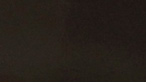 Las revisiones de pasajeros serían aleatorias una vez lleguen a NYC en autobuses.