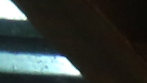 Reparaciones en edificio NYCHA.