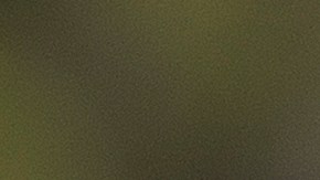 Rafael Nadal logra un subcampeonato en torneo de golf