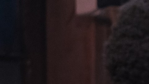 La destacada actriz Phylicia Rashad protagoniza la obra Skeleton Crew. Foto: Matthew Murphy