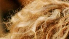 Shakira y Rosalía.