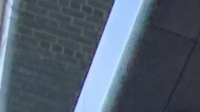 Activistas destacan que los inmigrantes trabajadores esenciales serán los principales beneficiados con esta ley de acceso a la salud.