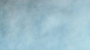 cítricos vitamina C