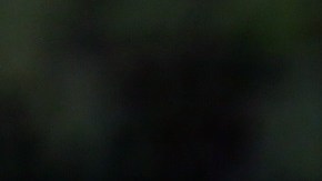 Venezuela v Argentina - FIFA World Cup 2022 Qatar Qualifier