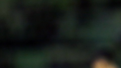 Venezuela v Argentina - FIFA World Cup 2022 Qatar Qualifier