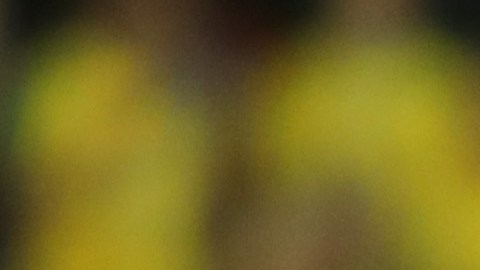 Pep Guardiola