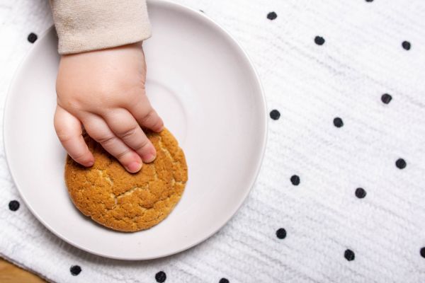 Muere Bebé De 2 Años En Jalisco Tras Comer Galleta Envenenada Que