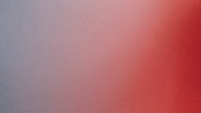 Muertes contaminación Covid