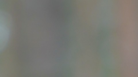 Cosas perdidas Japón