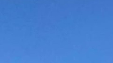 33 son adultos que viajaban solos, además 19 menores de edad y 7 personas más que iban en núcleo familiar.