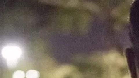 Florida tiene un respaldo especial para la operación de ICE.