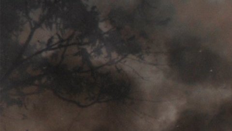Muerte abuela nietos incendio Pensilvania