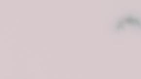 Nombres de bebé prohibidos en Estados Unidos