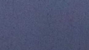 Novia boda Domino's Pizza