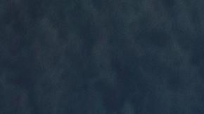 Persecución orca pescadores