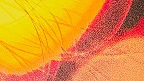 Al menos unos 200 estudiantes vieron el "video sexual" de la maestra.