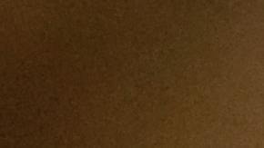 restos humanos descubiertos en el Hospital de San Roque en Puebla, México