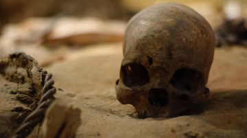 restos humanos descubiertos en el Hospital de San Roque en Puebla, México