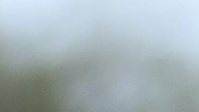 Conner Landers, de Azle, se bajó del autobús escolar y fue atacado.