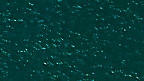 Un meteorito acabó con los dinosaurios hace 66 millones de años.