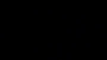 Nadie ha podido identificar al objeto que se estrellará con la Luna.