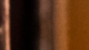 La gallina fue bautizada como Henny Penny.