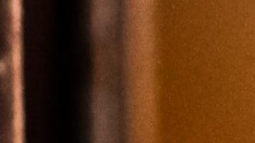 La gallina fue bautizada como Henny Penny.