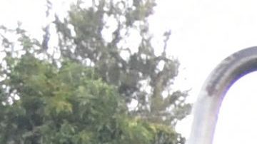 Policía de Guatemala.