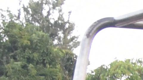 Policía de Guatemala.