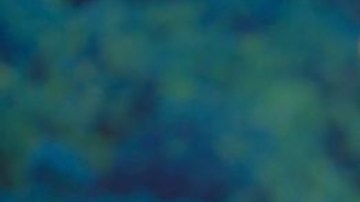 Sebastián Yatra nominado a los Oscars