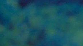 Sebastián Yatra nominado a los Oscars