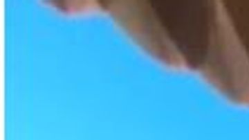 Un loro kea se robó una cámara GoPro en Nueva Zelanda.