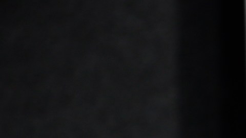 Alaïa, la hija de Adamari López y Toni Costa, complió siete años