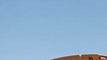 Los restos fueron encontrados con un tiempo promedio de muerte de seis meses a un año.