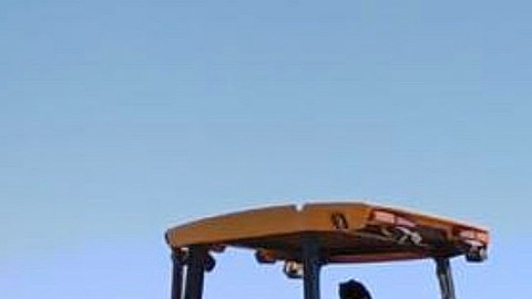 Los restos fueron encontrados con un tiempo promedio de muerte de seis meses a un año.