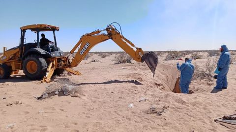 Los restos fueron encontrados con un tiempo promedio de muerte de seis meses a un año.