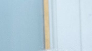 La duquesa Camila y la actriz Emerald Fennell.