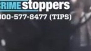 Momento del brutal arrollamiento durante un "espectáculo" ilegal.