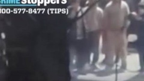 Momento del brutal arrollamiento durante un "espectáculo" ilegal.