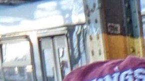 Jessica Altagracia Woolford explica cara a cara su propuesta de campaña para el Distrito 81 en El Bronx.