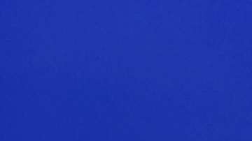 Restos fosilizados de un basilosaurio.