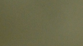 El 2021 fue muy fecundo para los cocodrilos de una central nuclear en Florida.