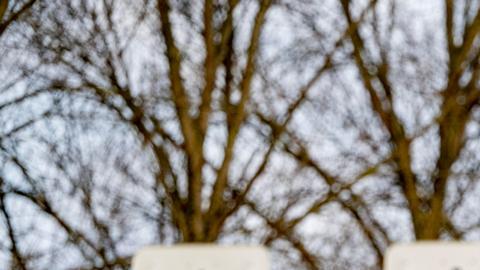 El conflicto entre Rusia y Ucrania está repercutiendo económicamente en todo el mundo.