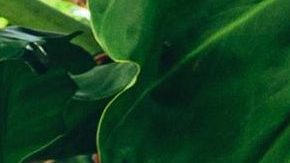 Sebastián Yatra comenzó el 2022 con el lanzamiento de su disco "Dharma", con su gira en solitario.