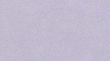 Myrka Dellanos lució su cintura de avispa en un apretado jean y le pide sugerencia a sus seguidores