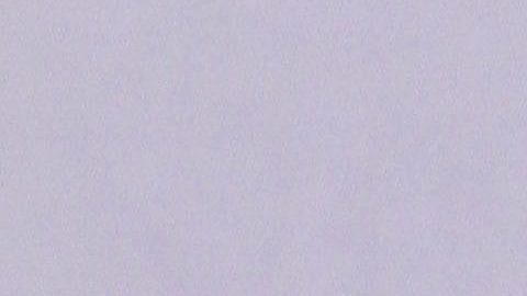 Myrka Dellanos lució su cintura de avispa en un apretado jean y le pide sugerencia a sus seguidores