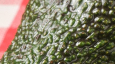 Aguacate